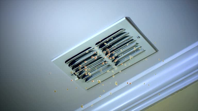 Best HVAC System Cleaning  in Lliams Bay, WI