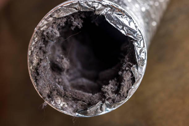 Best HVAC Air Duct Cleaning  in Lliams Bay, WI